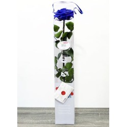 Rosa Eterna Premium