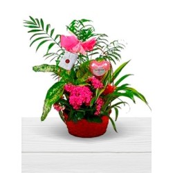 Basket of plants girl