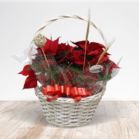 Great Poinsettia Basket