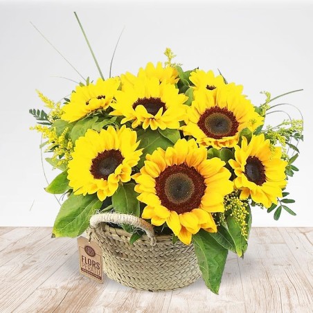 Sunflower Carrycot