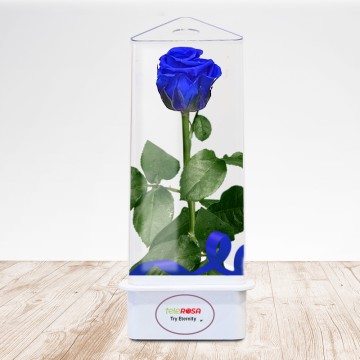 TriEternity Eternal Rose