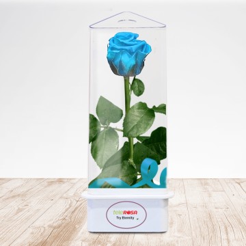 TriEternity Eternal Rose