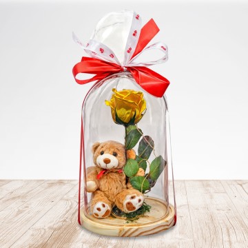 Beautiful Teddy