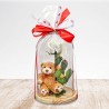 Beautiful Teddy