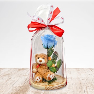 Beautiful Teddy