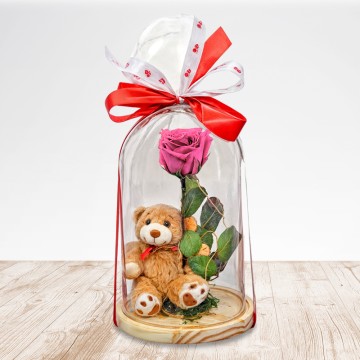 Beautiful Teddy