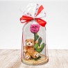 Beautiful Teddy