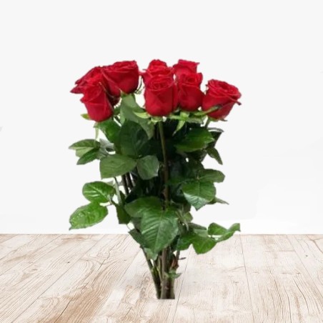 Refill 10 Roses for vase