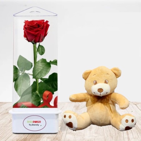 Rosa Eterna con Peluche