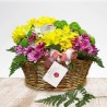 Basket of daisies
