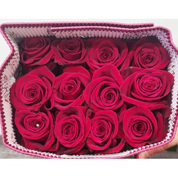 Pack 25 Rosas