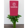 Pack 25 Rosas