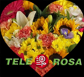 Flores para pedir disculpas Telerosa.com