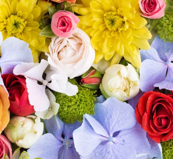 Descubre cuáles son las mejores flores para regalar