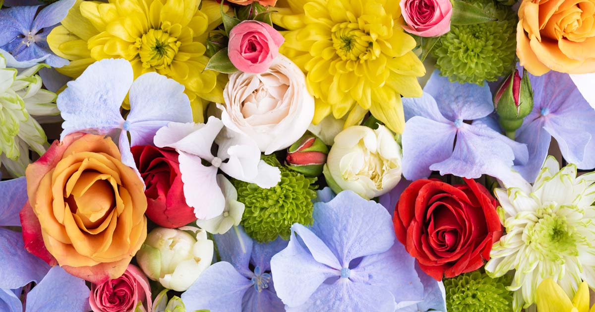 Descubre cuáles son las mejores flores para regalar