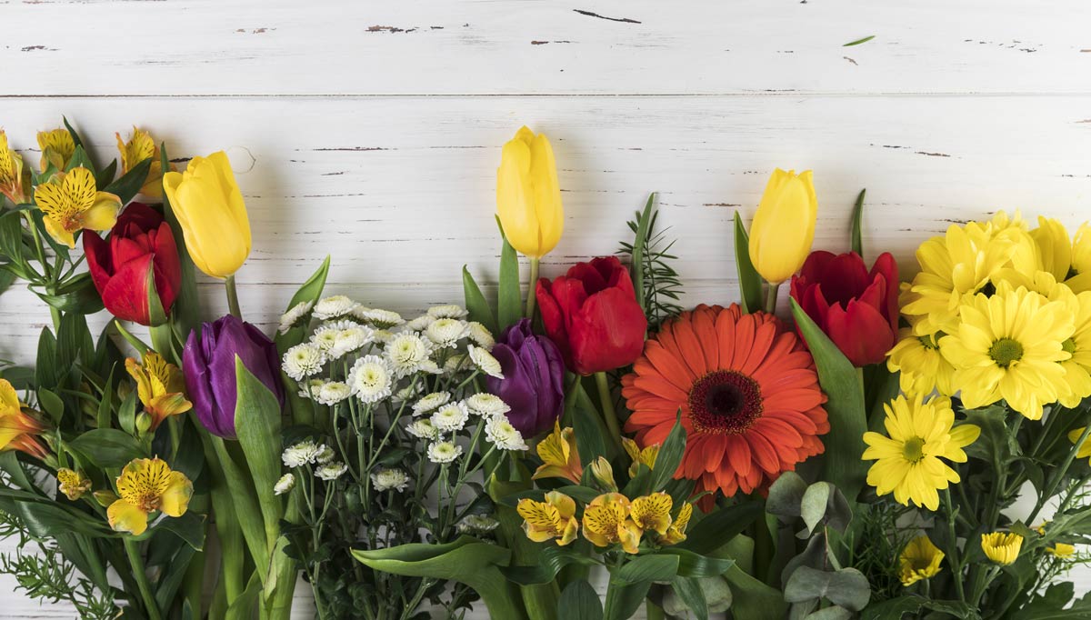 Los beneficios de regalar flores y emociones y lo fácil que es hacerlo con teleROSA.