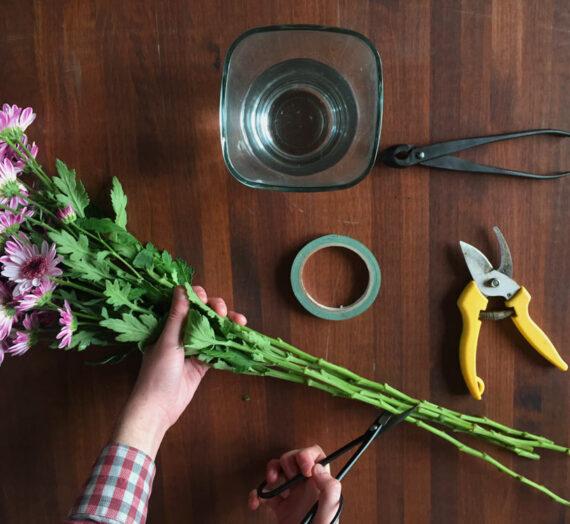 Consejos para el mantenimiento de las flores