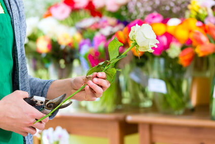 Cómo consevar las flores naturales