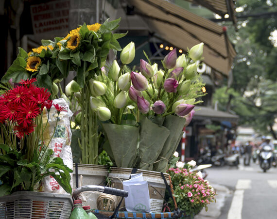 Qué Regalar en Primavera, Verano, Otoño e Invierno