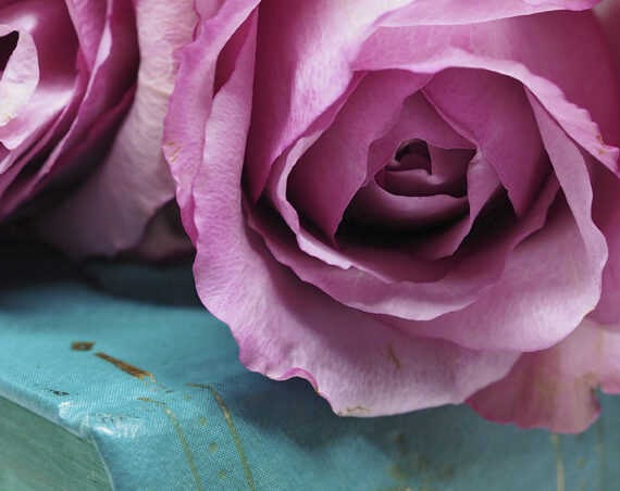 Cómo Cuidar tus Flores Recibidas para que Duren Más Tiempo