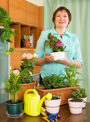 Plantas de interior con flores: da color a tu hogar