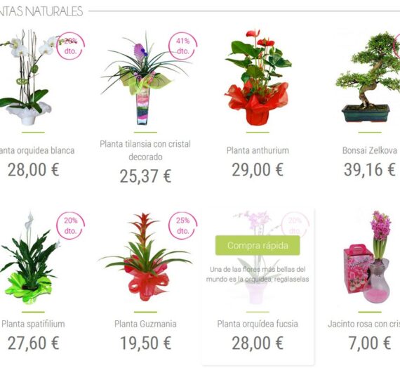 Algunas razones por las que regalar plantas naturales