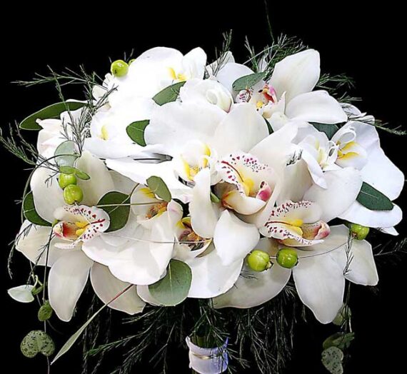 Significado de regalar una orquídea blanca