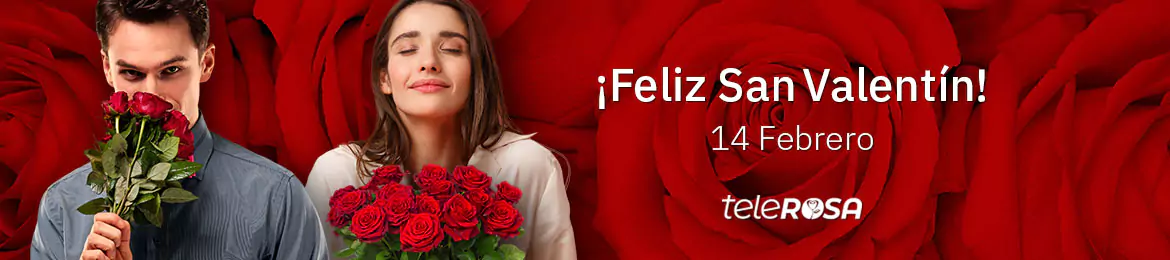 Catalogo de ramos de rosas para San Valentín