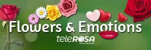 Catalog of flowers and roses in Spain